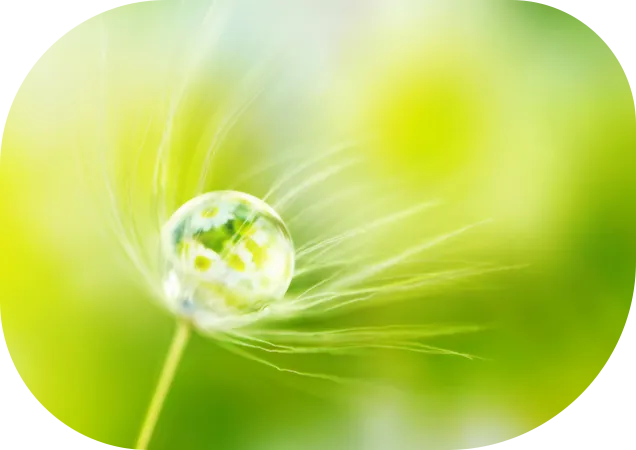 料金・日程・アクセスページのしずくのイメージ画像