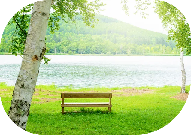 お知らせページの水辺イメージ画像